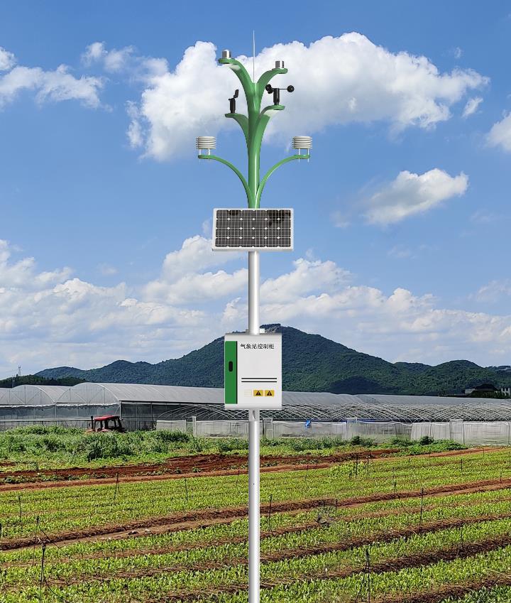 智慧農田監測