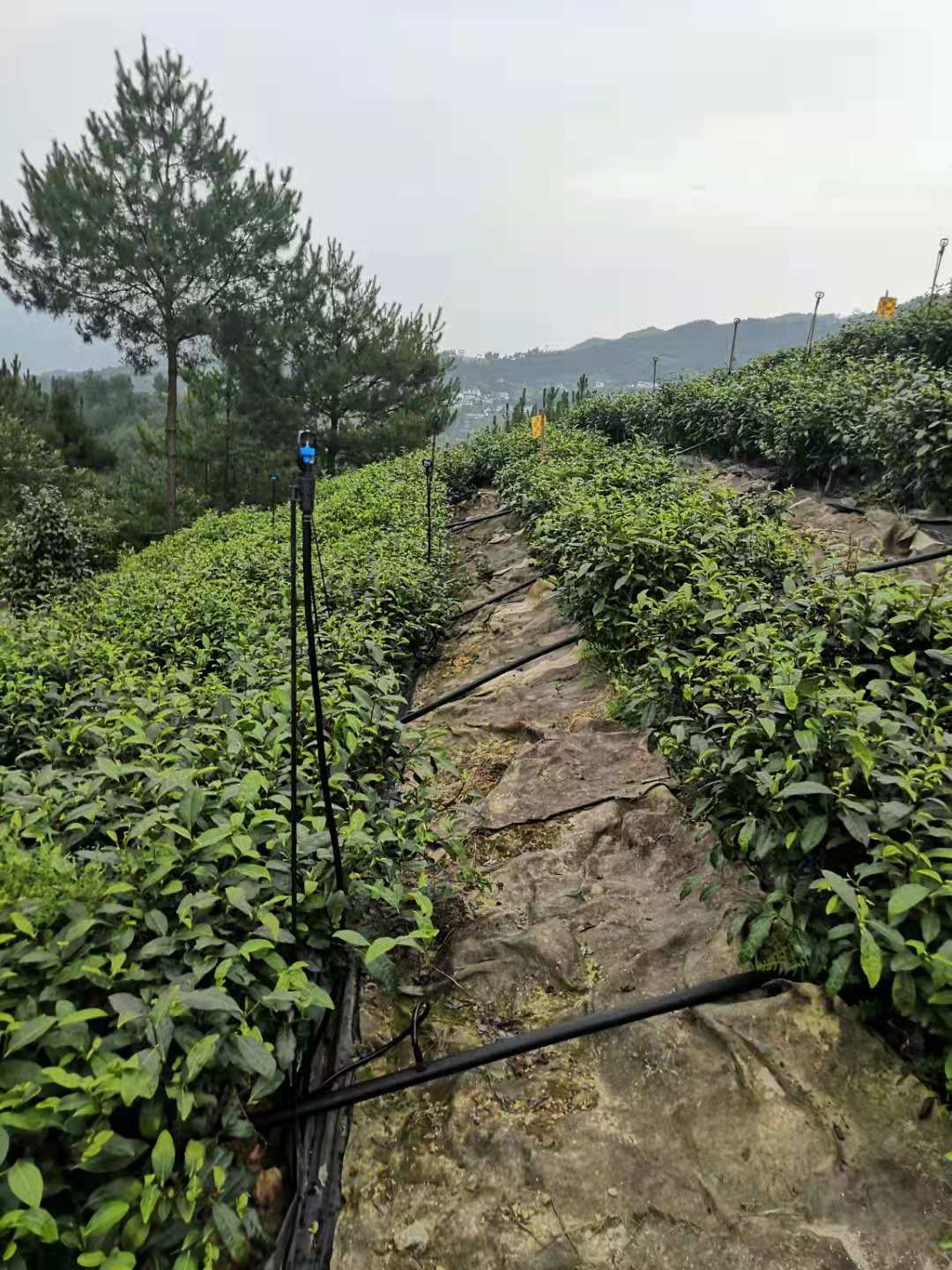 果園智慧化管理控制系統 果園智慧化管理控制系統