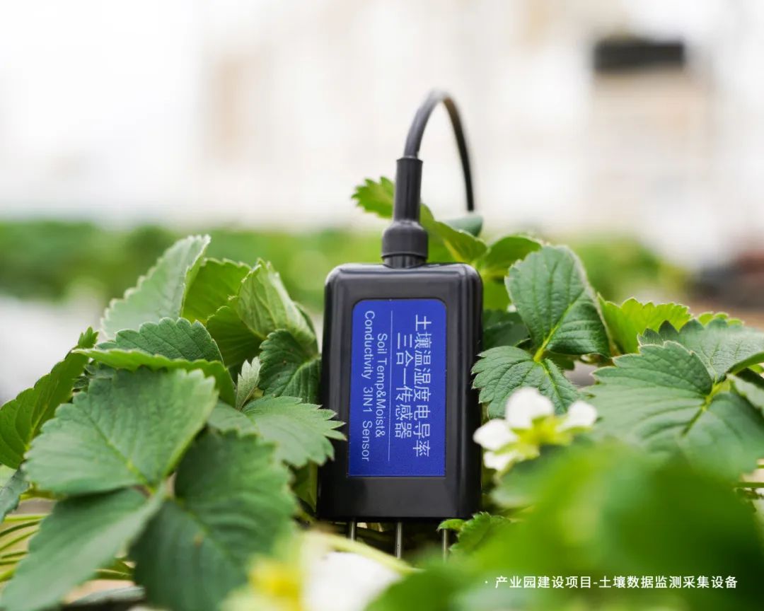 智慧農業傳感器制造商