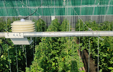 智慧農(nóng)業(yè)大棚環(huán)境監(jiān)測(cè)系統(tǒng) 智慧農(nóng)業(yè)大棚環(huán)境監(jiān)測(cè)系統(tǒng)