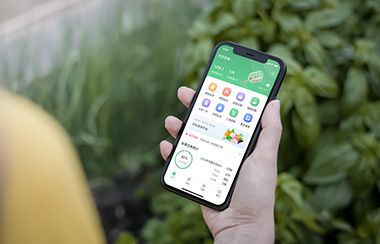 智慧農業檢測系統廠家