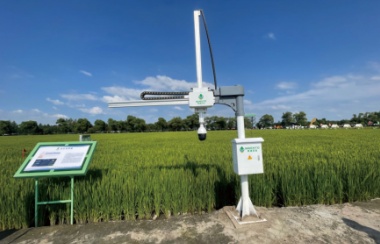 智能葉齡診斷設備