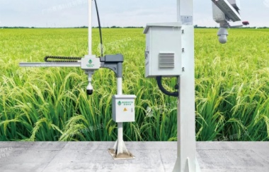 作物表型監測機器人 作物表型監測機器人