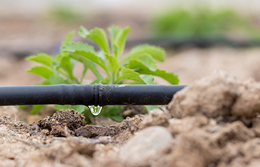 農業水肥一體化灌溉系統