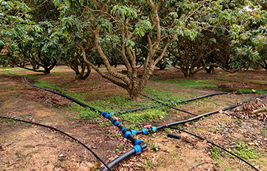 水肥一體化設(shè)備與滴灌